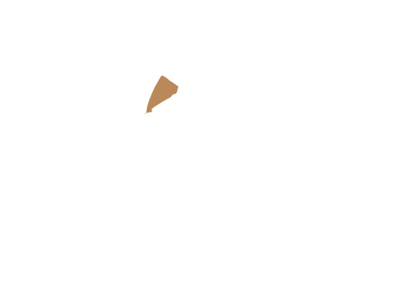 DARK BEIGE LEATHER