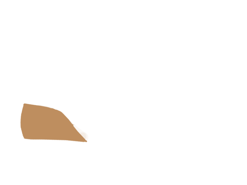 DARK BEIGE LEATHER