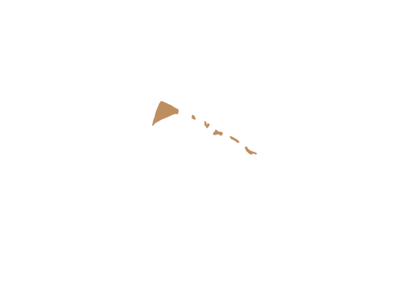 DARK BEIGE LEATHER