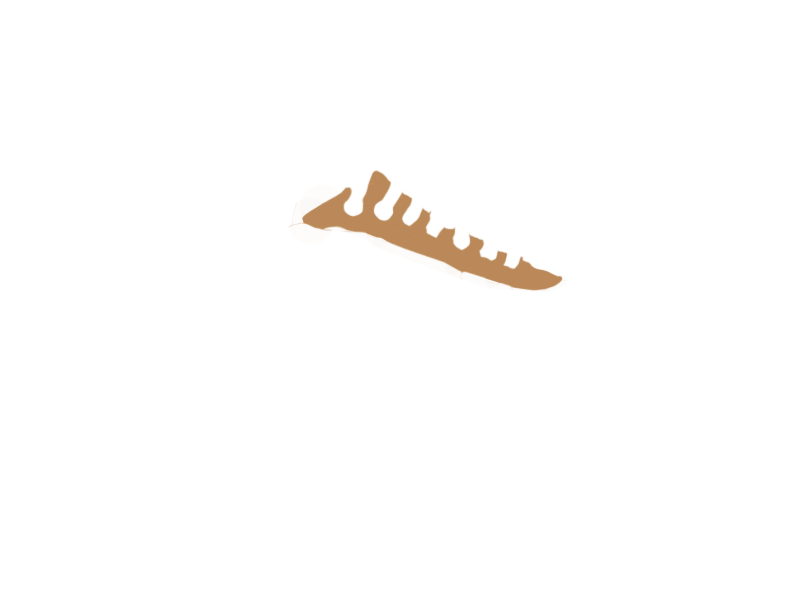DARK BEIGE LEATHER