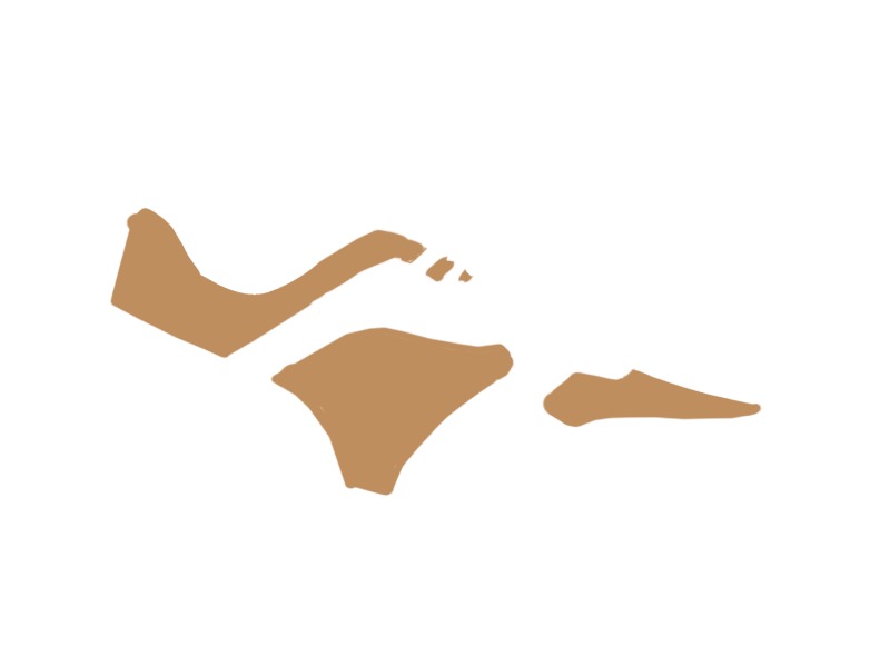 DARK BEIGE LEATHER