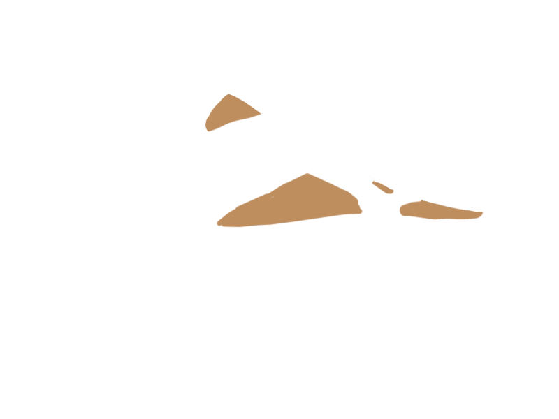 DARK BEIGE LEATHER