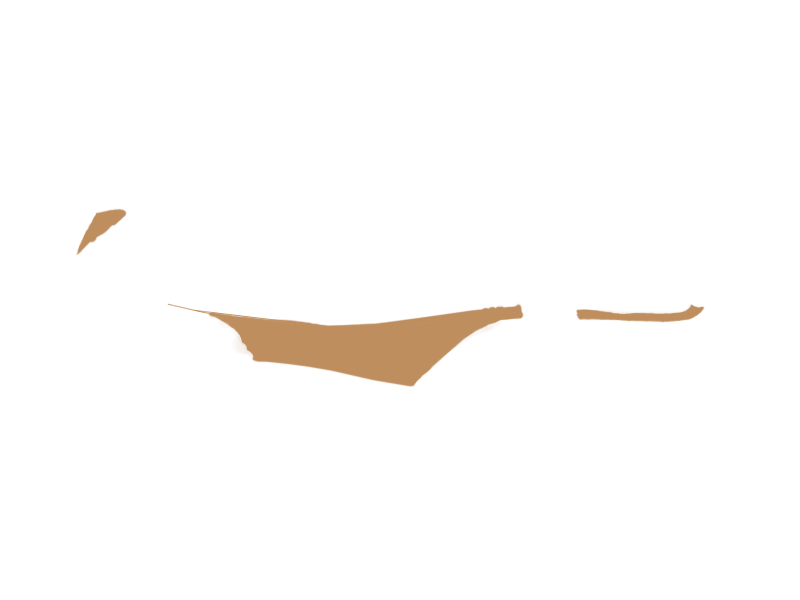 DARK BEIGE LEATHER