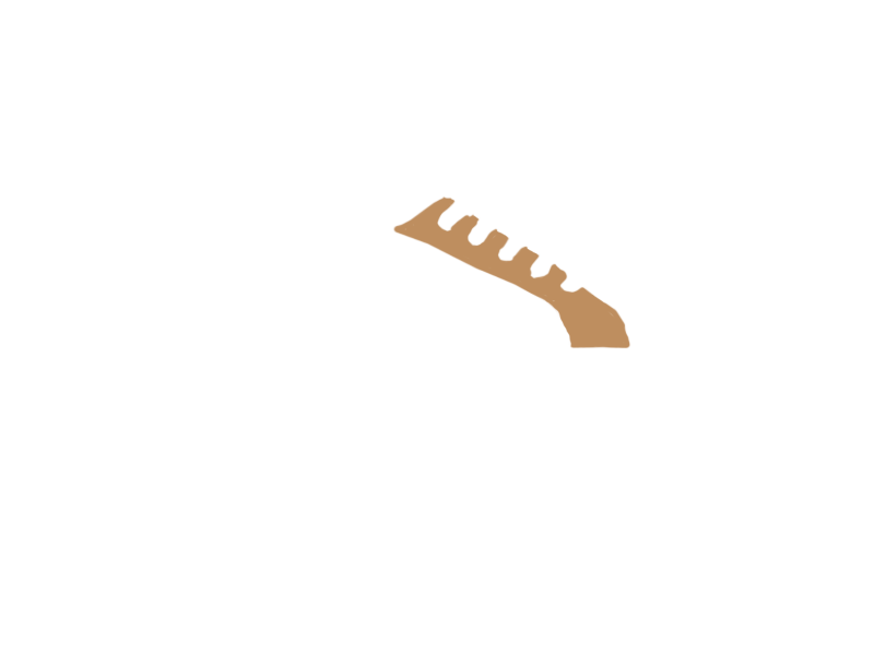 DARK BEIGE LEATHER