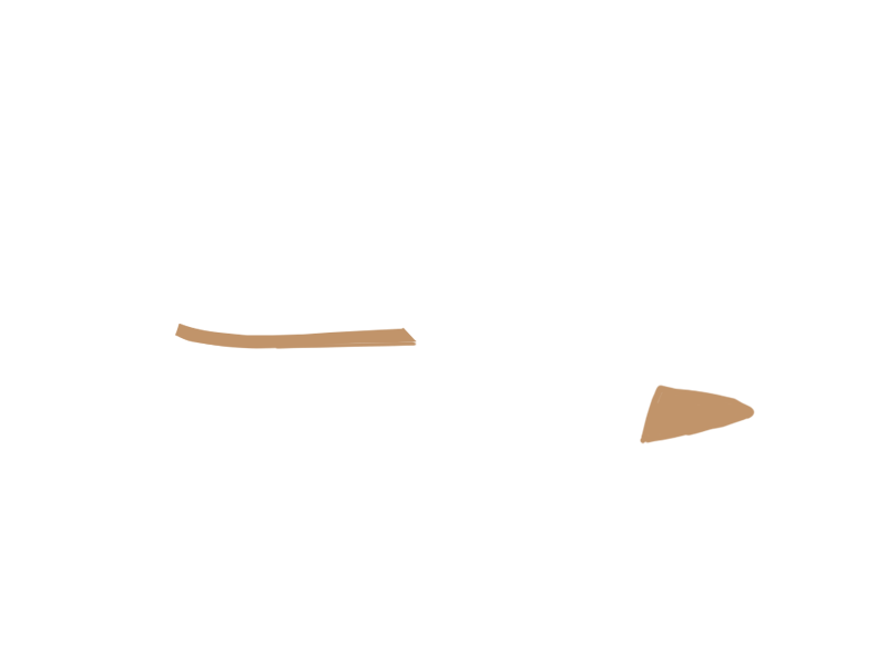 DARK BEIGE LEATHER