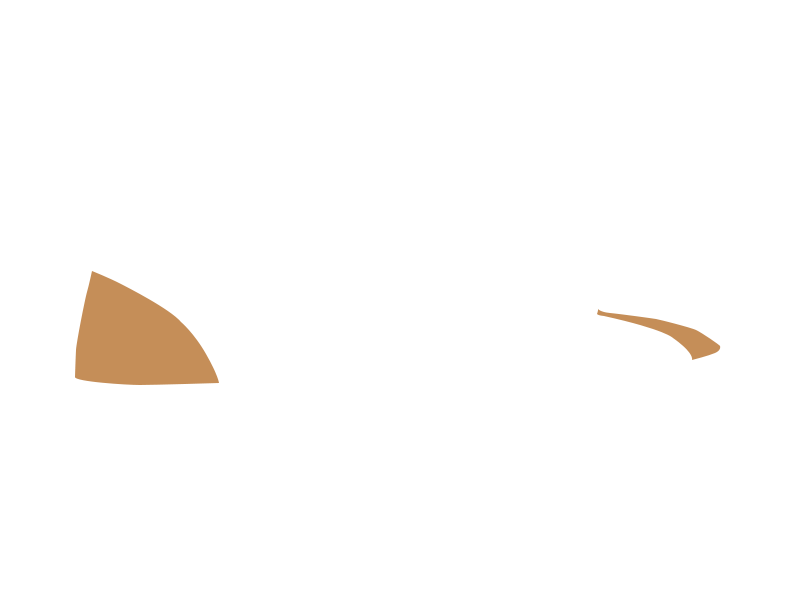 DARK BEIGE LEATHER