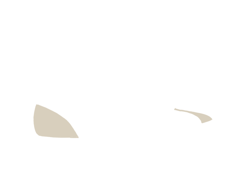 LAMB LEATHER