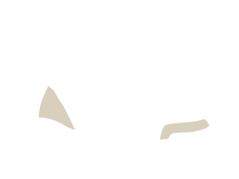 LAMB LEATHER