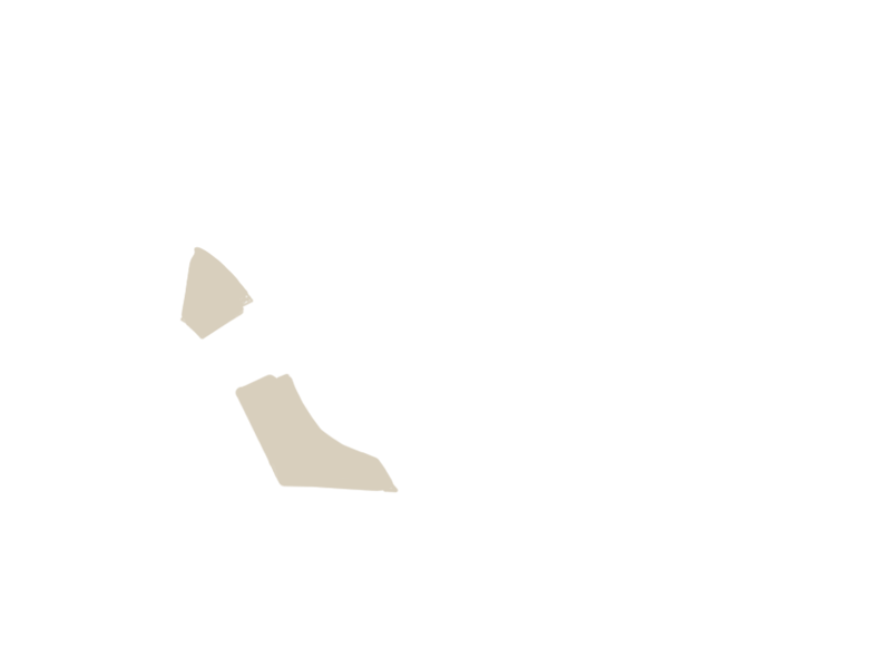 LAMB LEATHER