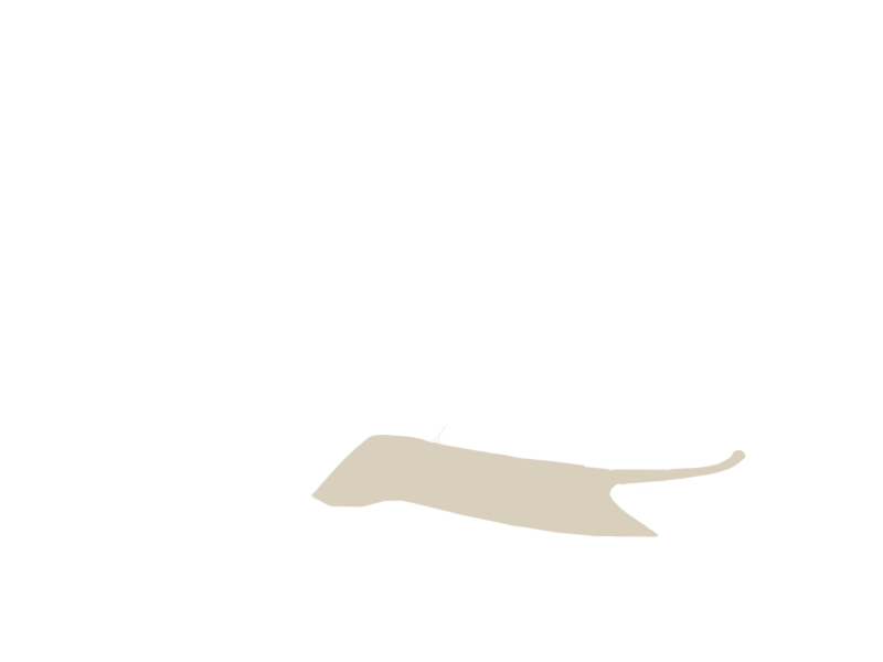 LAMB LEATHER