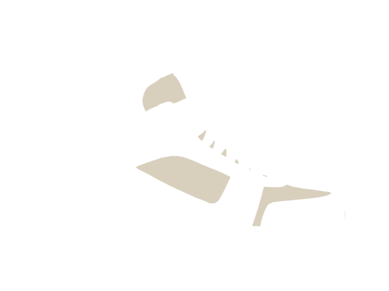 LAMB LEATHER