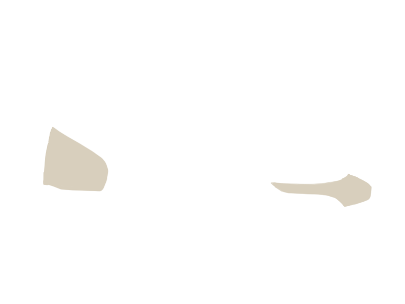 LAMB LEATHER