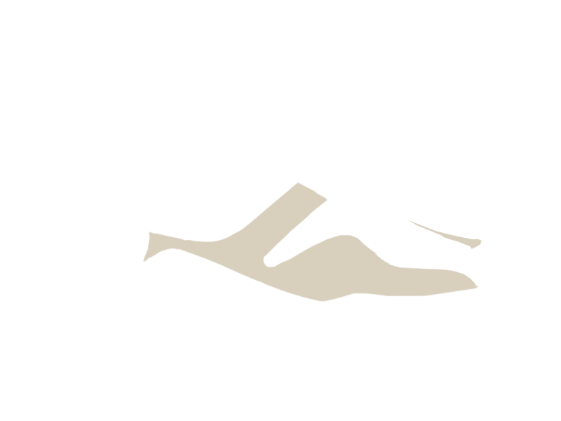 LAMB LEATHER