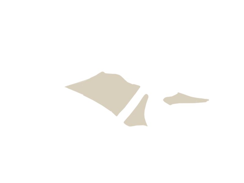 LAMB LEATHER