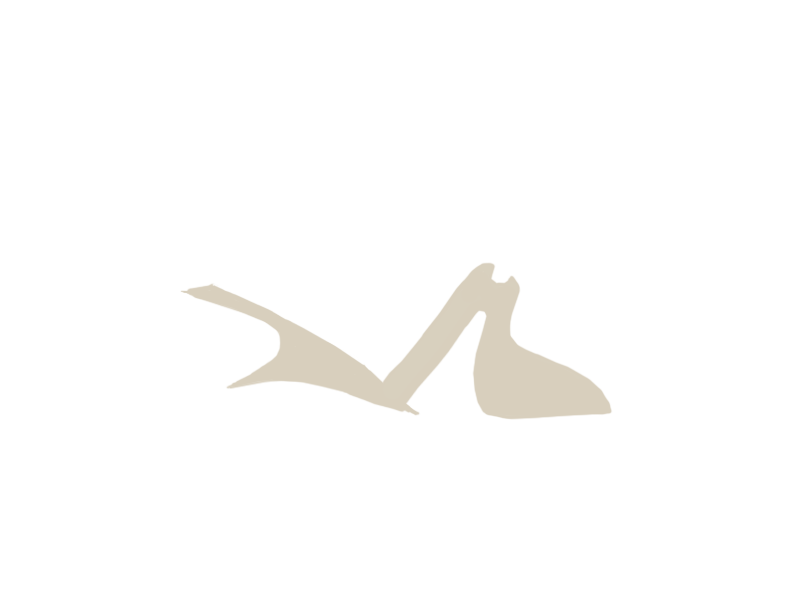 LAMB LEATHER