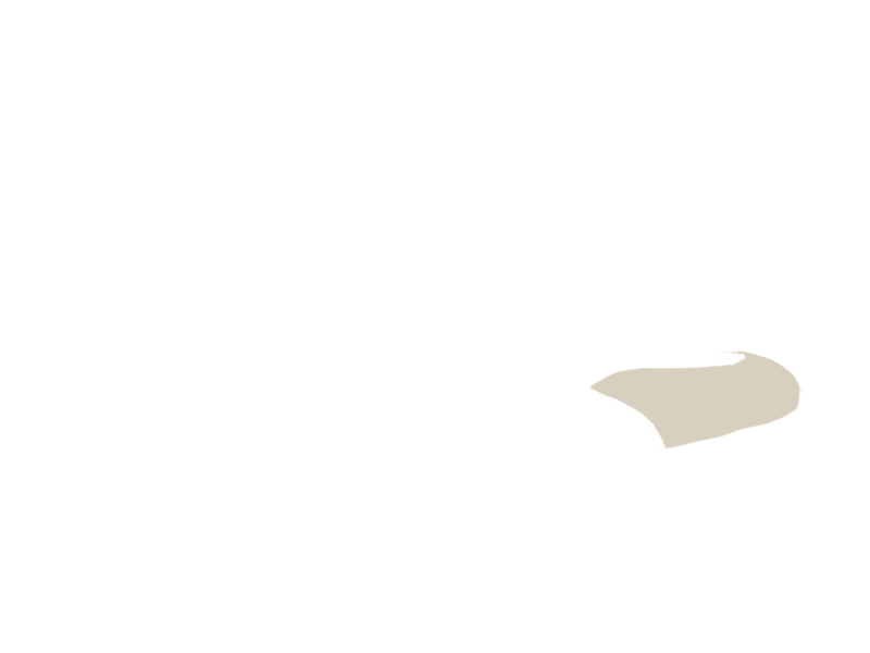 LAMB LEATHER