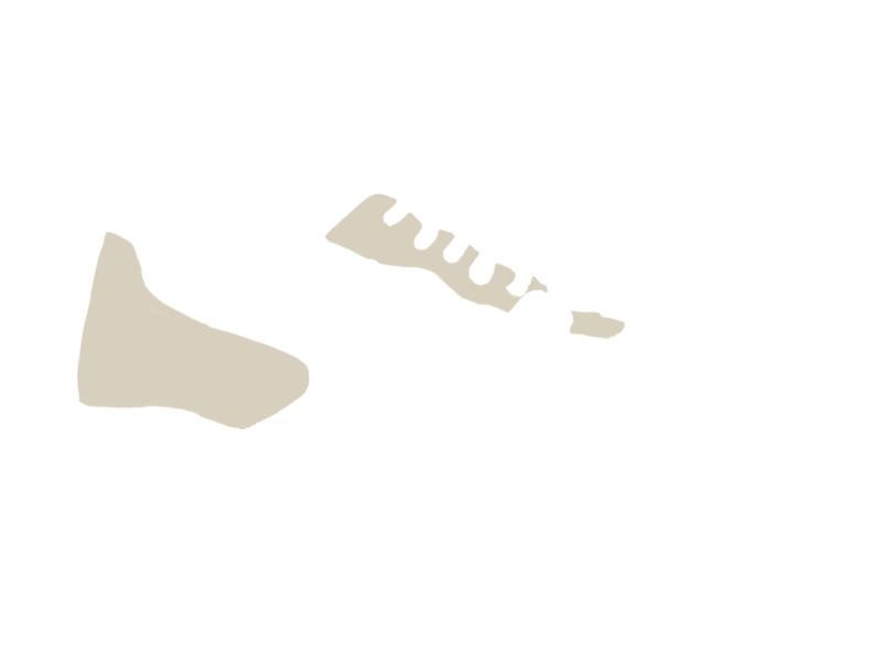 LAMB LEATHER