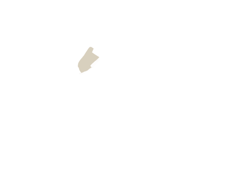 LAMB LEATHER