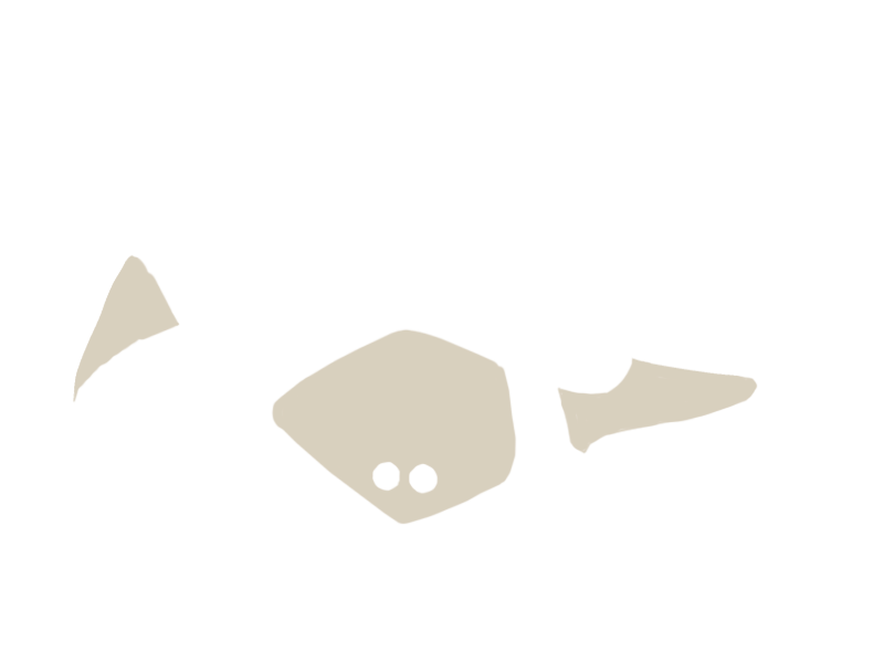 LAMB LEATHER