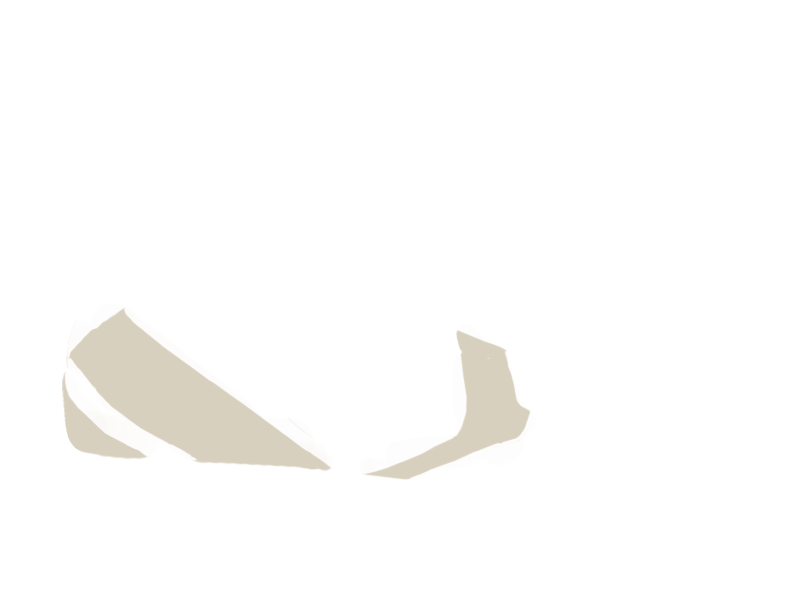 LAMB LEATHER
