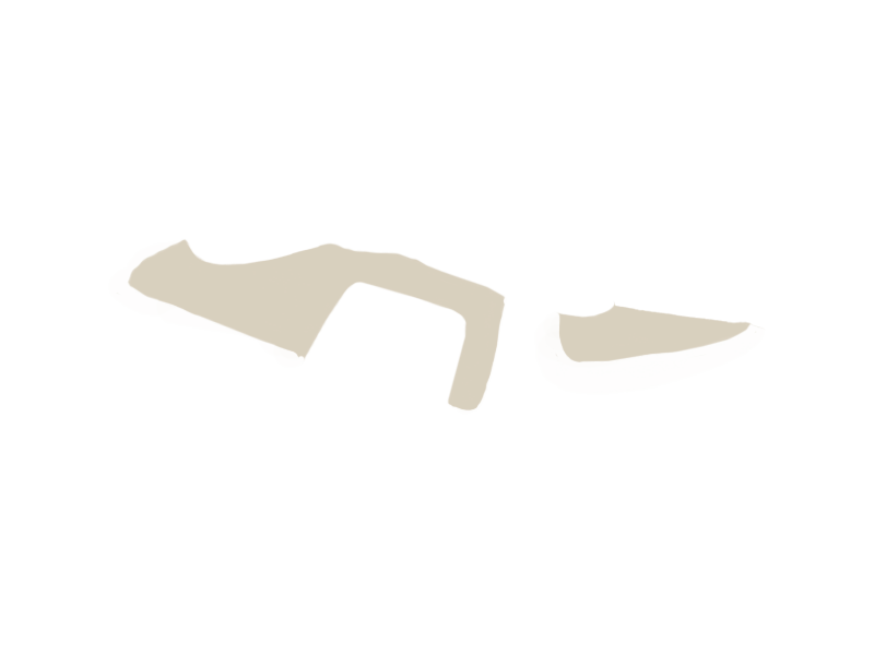 LAMB LEATHER