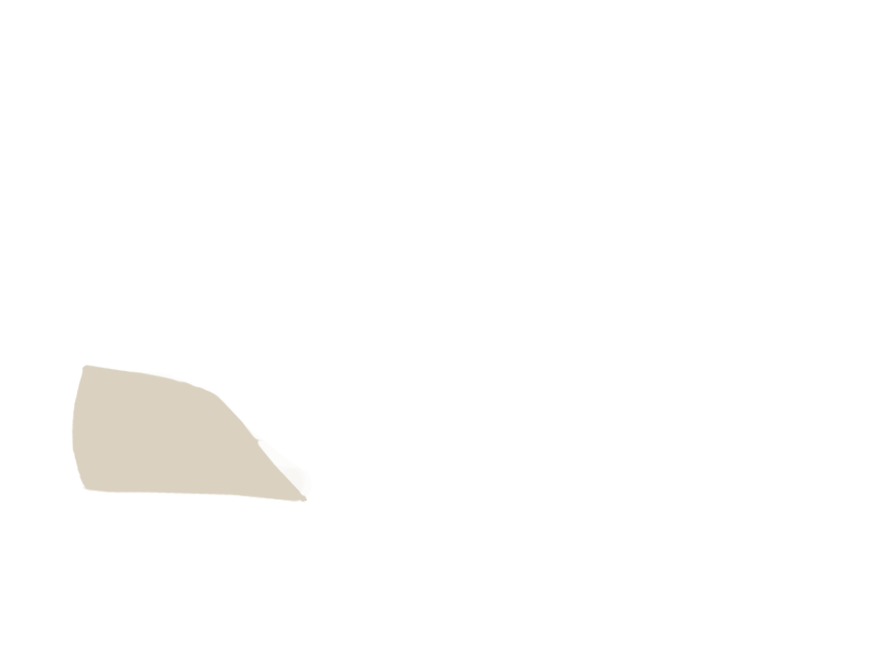 LAMB LEATHER