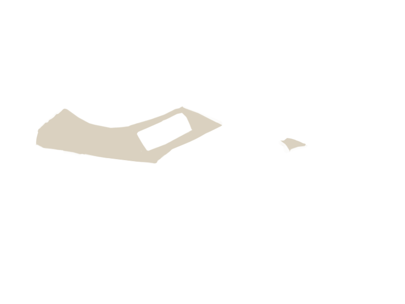 LAMB LEATHER