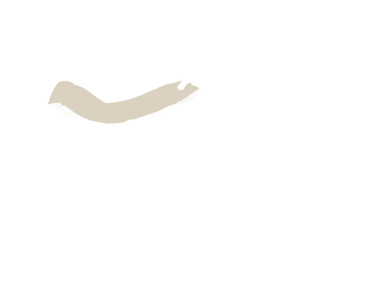 LAMB LEATHER