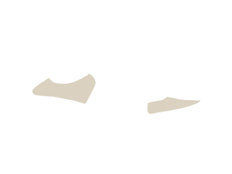LAMB LEATHER