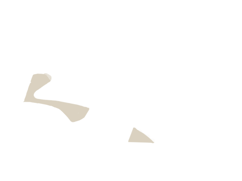 LAMB LEATHER