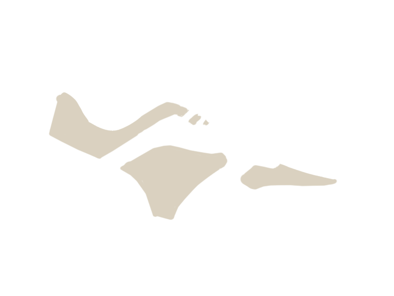 LAMB LEATHER