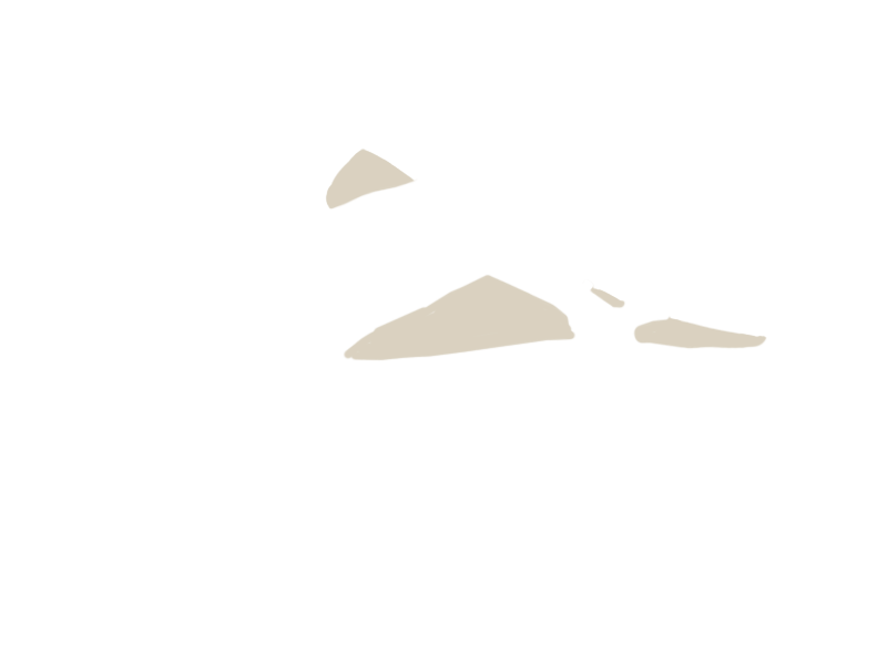 LAMB LEATHER