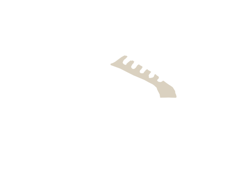 LAMB LEATHER