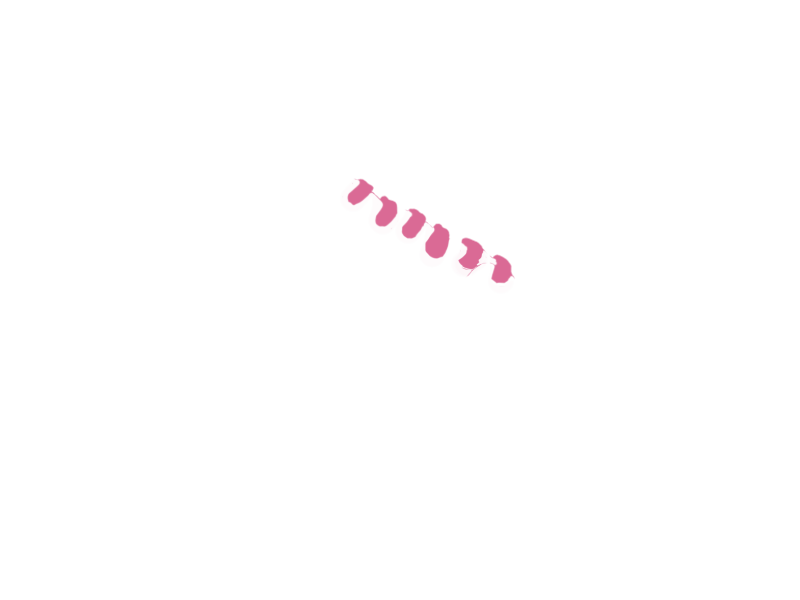 GUM