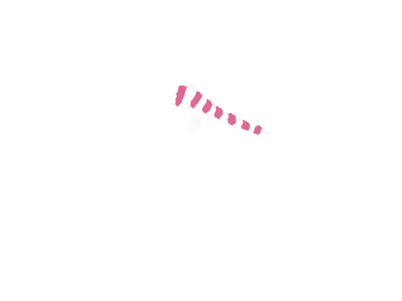 GUM