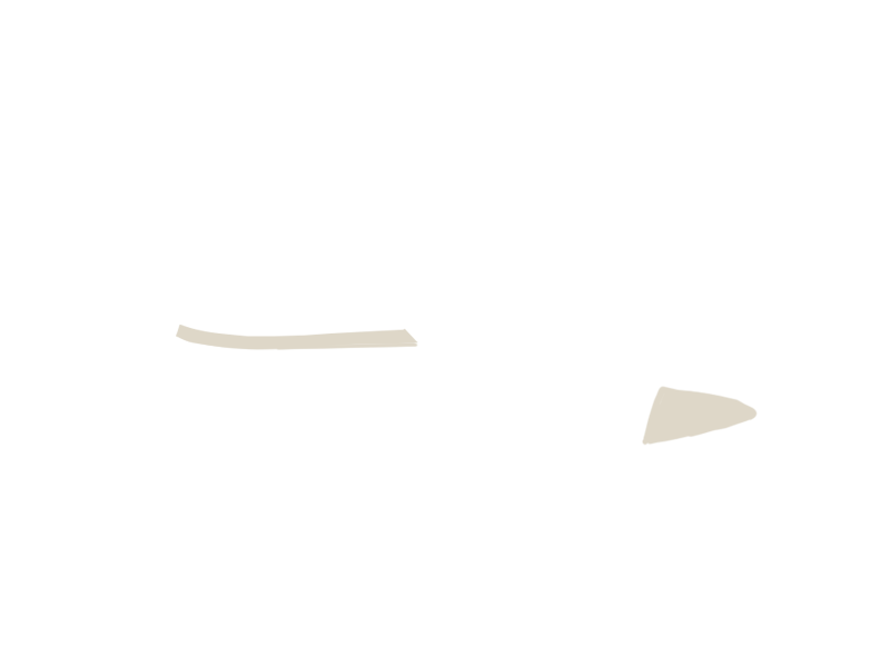 LAMB LEATHER