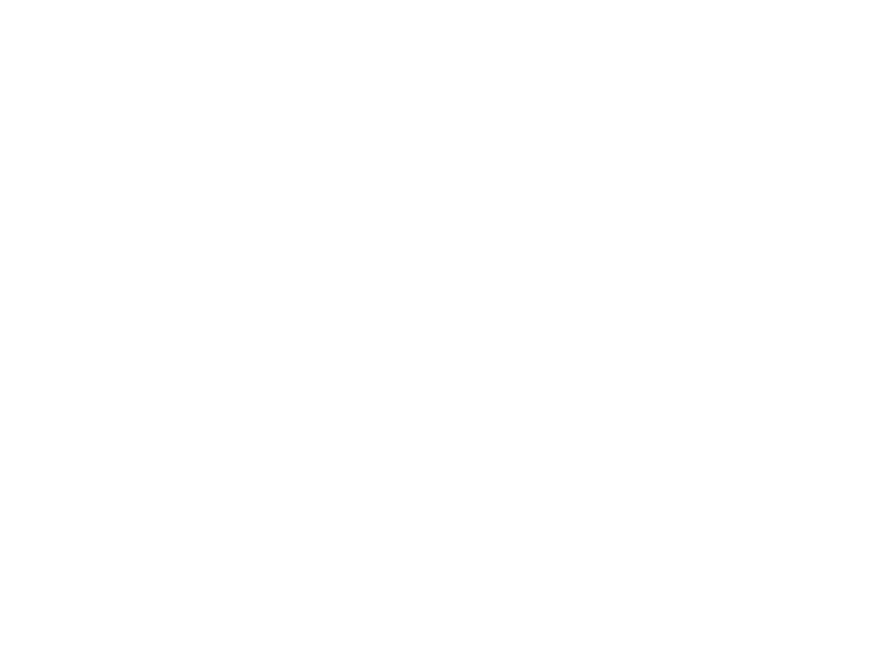 WHITE LEATHER