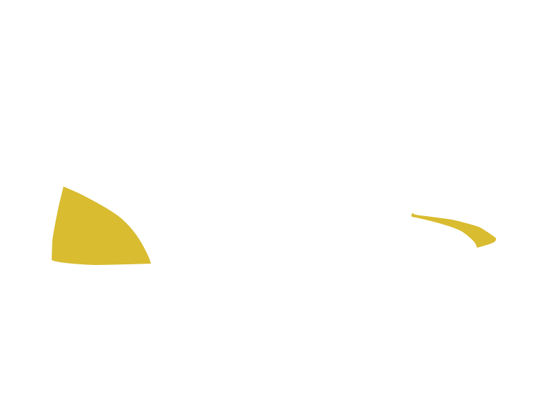 CANARY LEATHER