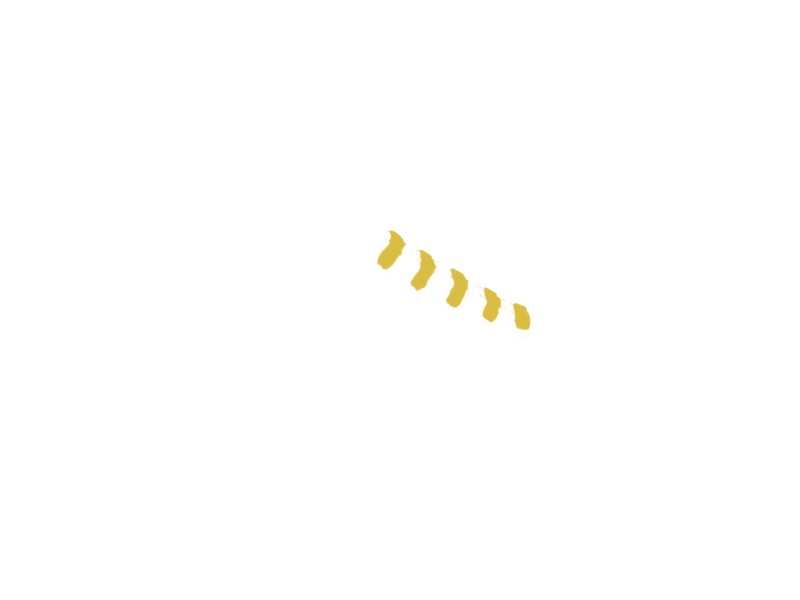 CANARY