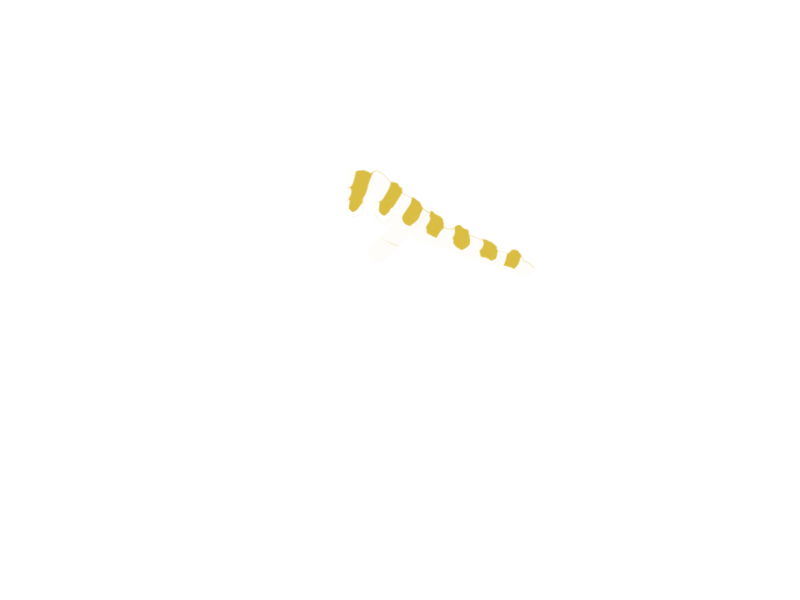 CANARY
