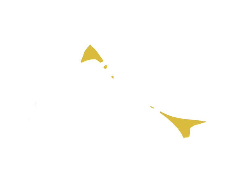 CANARY LEATHER