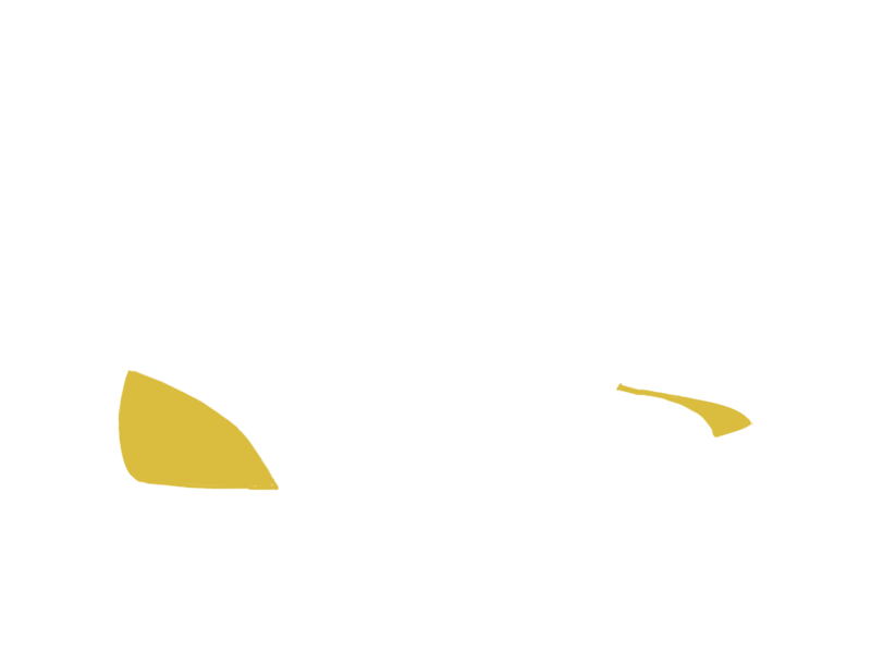 CANARY LEATHER