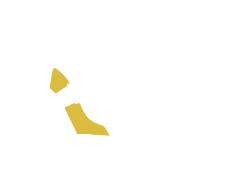 CANARY LEATHER