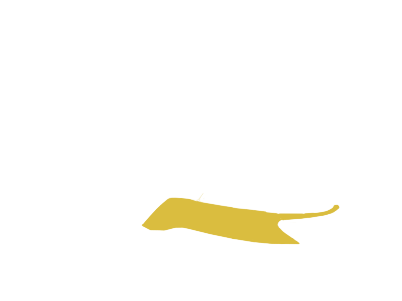 CANARY LEATHER