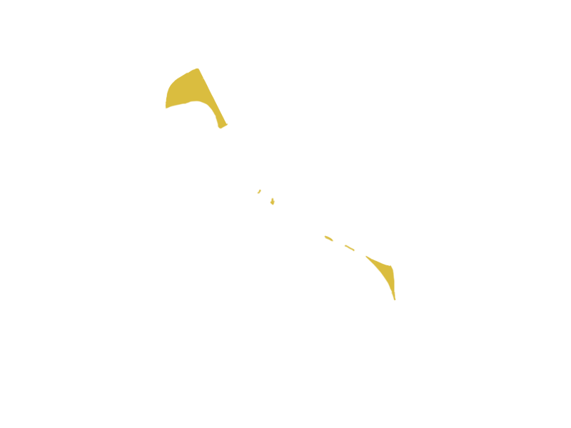 CANARY LEATHER