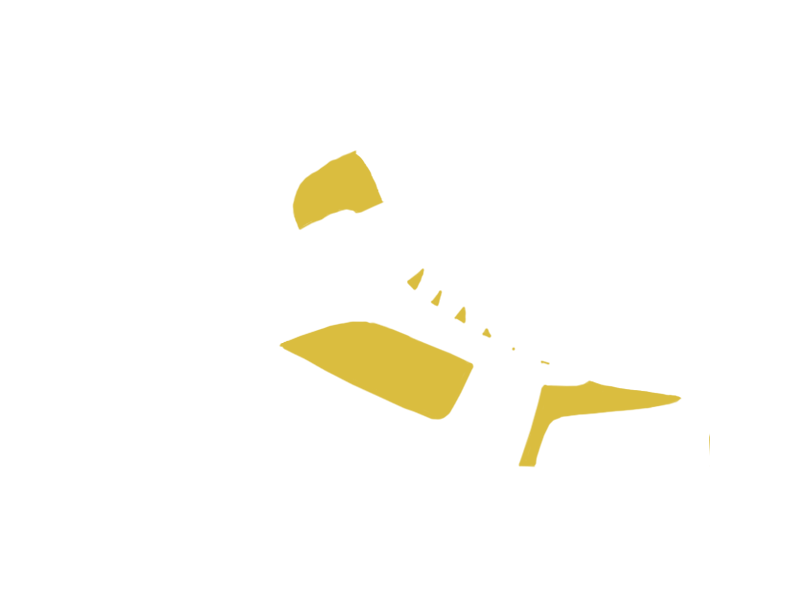 CANARY LEATHER