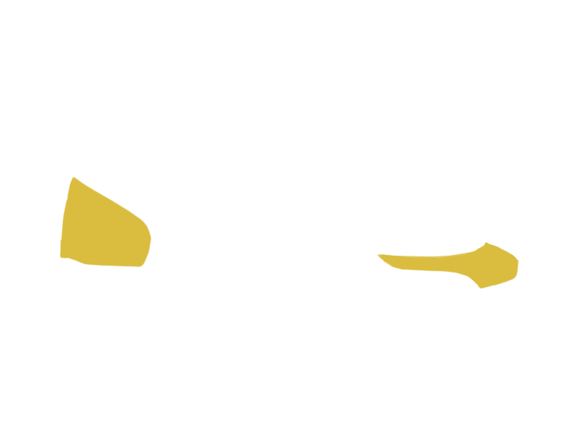 CANARY LEATHER