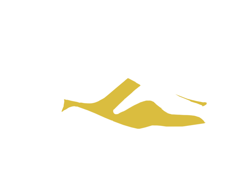 CANARY LEATHER