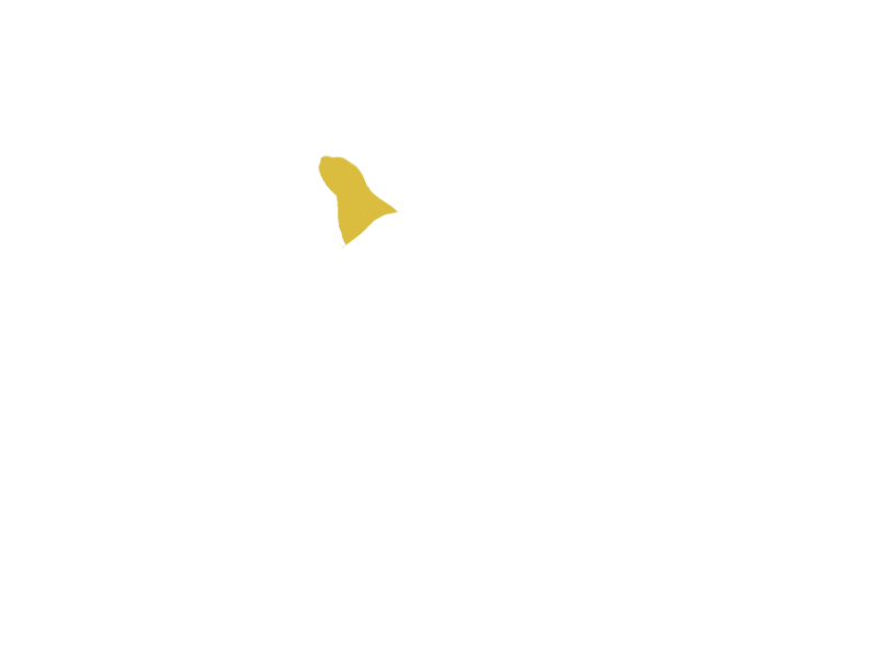 CANARY LEATHER