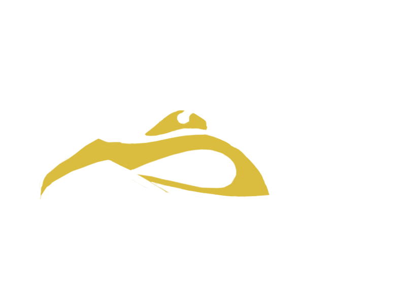 CANARY LEATHER